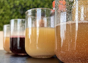 livraison JUS MAISON  à 94120 Fontenay-sous-Bois
